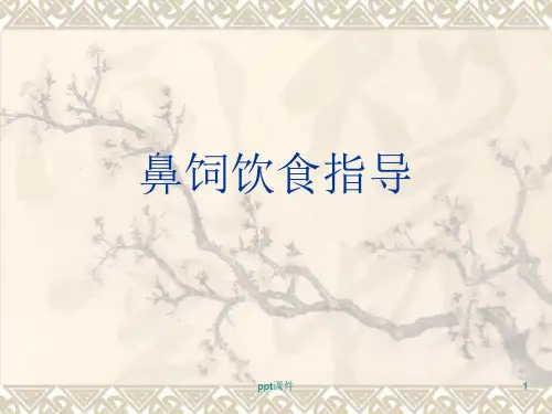 鼻饲饮食指导  ppt课件