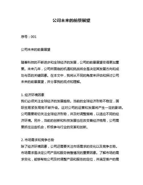 公司未来的前景展望