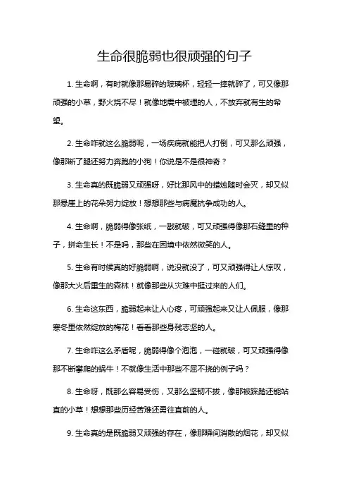 生命很脆弱也很顽强的句子