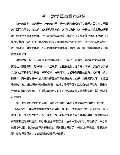 初一数学重点难点总结