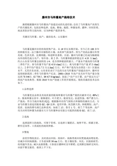 滕州市马铃薯高产栽培技术