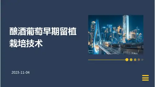 酿酒葡萄早期留植栽培技术