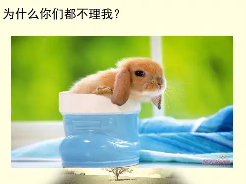 高中政治《哲学与生活》5.1意识的本质