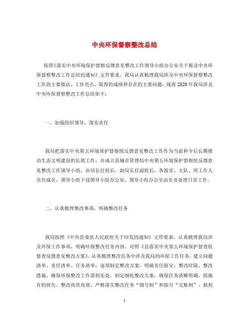 中央环保督察整改总结