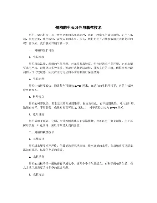 侧柏的生长习性与栽植技术
