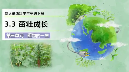 2024新大象版科学三年级下册第三单元 植物的一生《茁壮成长》优质课件