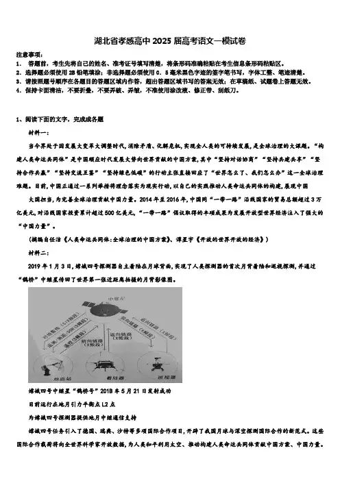 湖北省孝感高中2025届高考语文一模试卷含解析