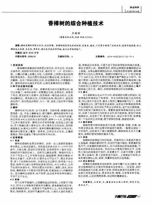 香樟树的综合种植技术