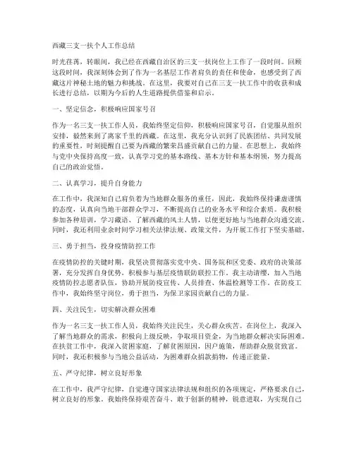 西藏三支一扶个人工作总结