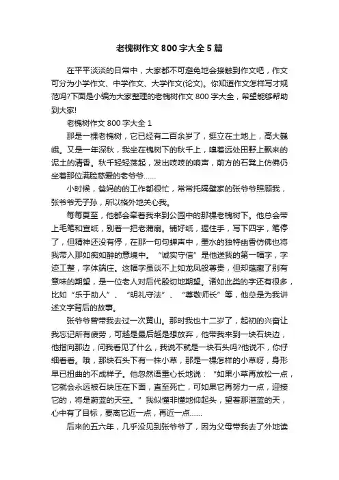 老槐树作文800字大全5篇