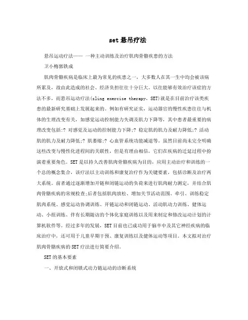 set悬吊疗法