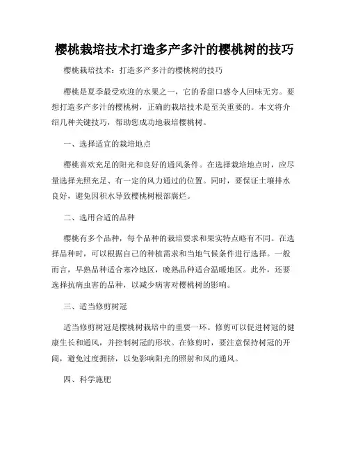 樱桃栽培技术打造多产多汁的樱桃树的技巧