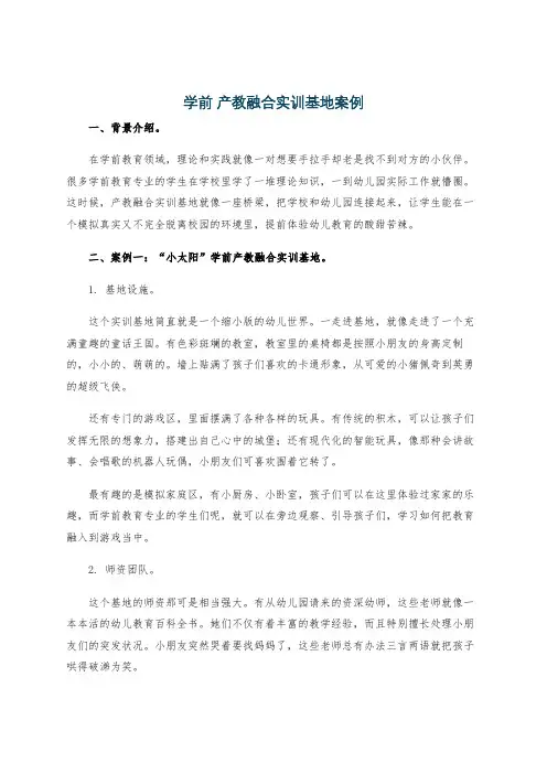 学前 产教融合实训基地案例