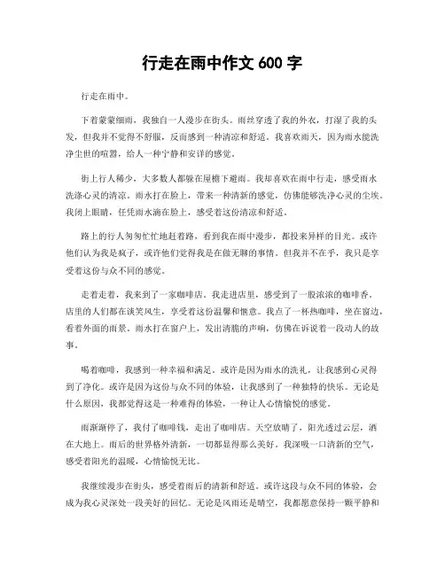 行走在雨中作文600字