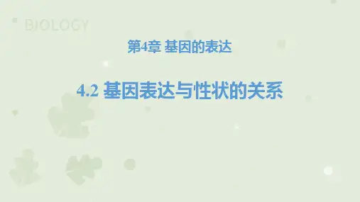 《基因表达与性状的关系》基因的表达PPT优质教学课件