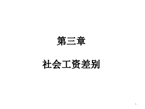 第三章社会工资差别