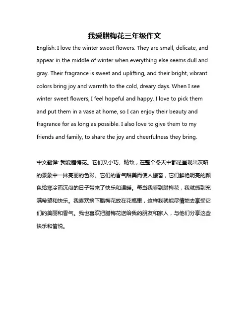 我爱腊梅花三年级作文