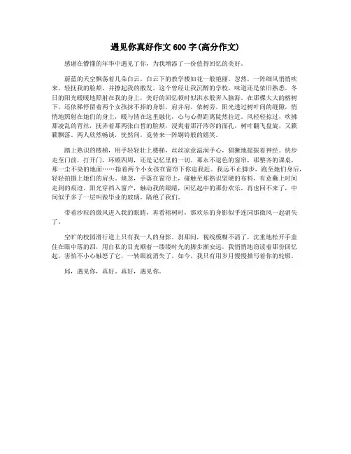 遇见你真好作文600字(高分作文)