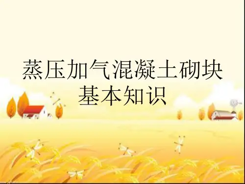 蒸压加气混凝土砌块基本知识 PPT