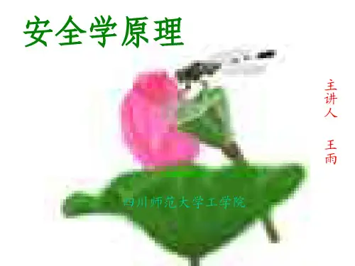安全学原理PDF课件