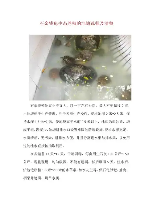 石金钱龟生态养殖的池塘选择及清整