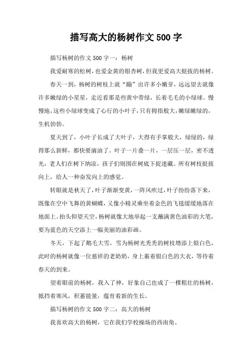 描写高大的杨树作文500字