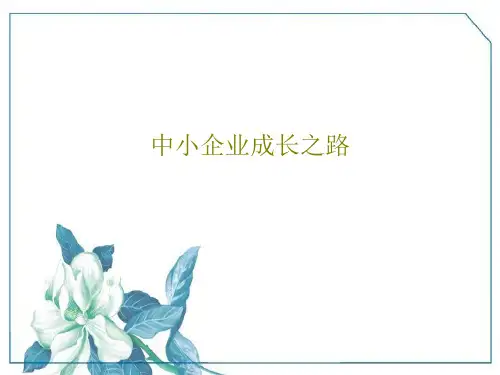 中小企业成长之路PPT文档共38页