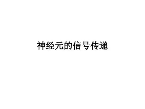 《基础医学各论3》资料：神经元的信号传递