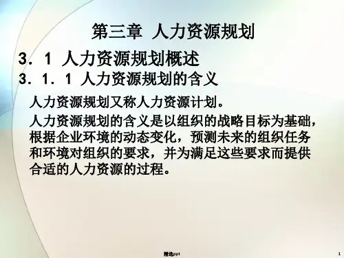 人力资源管理(学)课件第三章