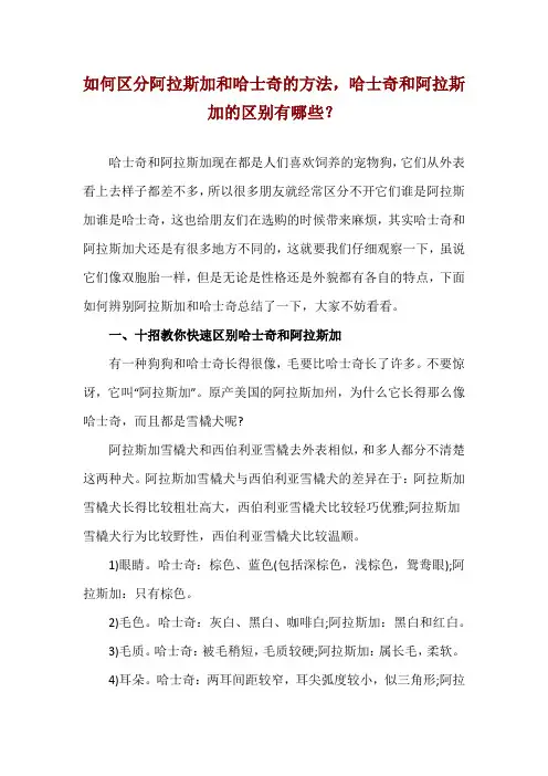 如何区分阿拉斯加和哈士奇的方法,哈士奇和阿拉斯加的区别有哪些？