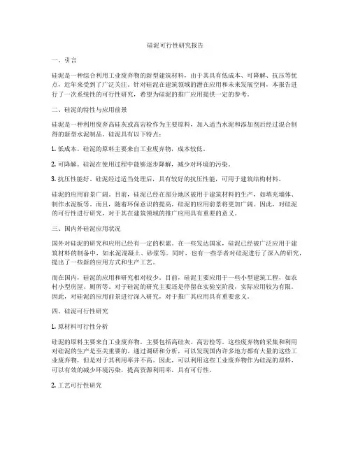 硅泥可行性研究报告
