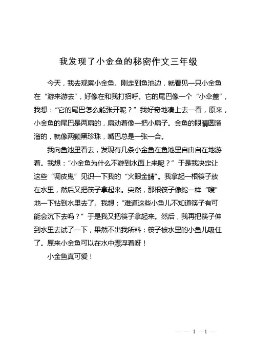 我发现了小金鱼的秘密作文三年级
