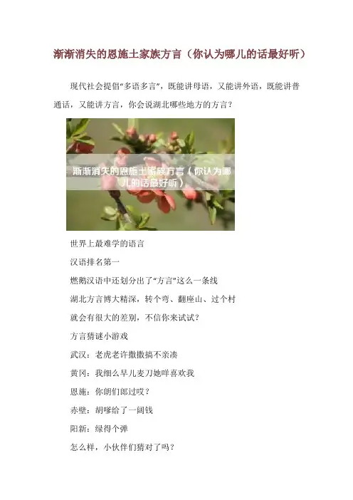 渐渐消失的恩施土家族方言(你认为哪儿的话最好听)