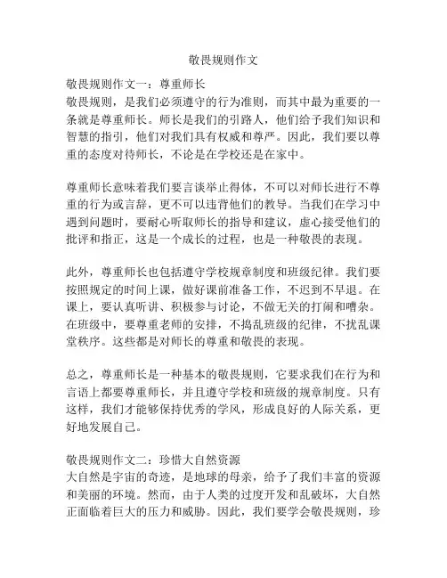 敬畏规则作文