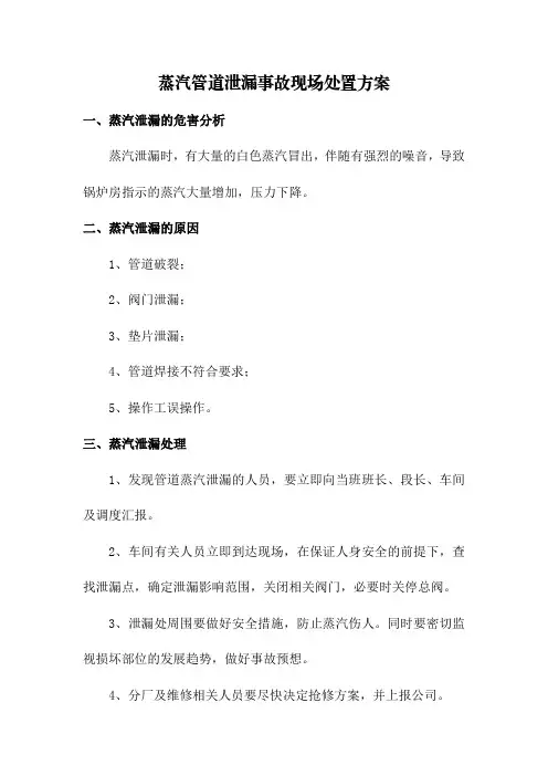 蒸汽管道泄漏事故现场处置方案