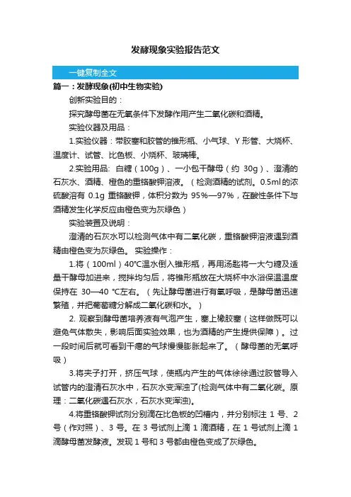发酵现象实验报告范文