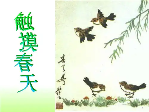 《触摸春天》公开课教案赏析PPT