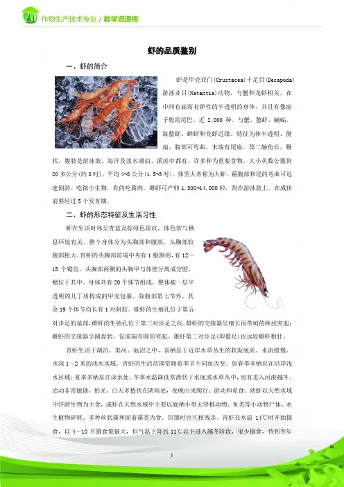 虾的品质鉴别.