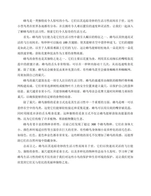 蜂鸟的生活习性简介(追踪奇妙蜂鸟的生活习性)