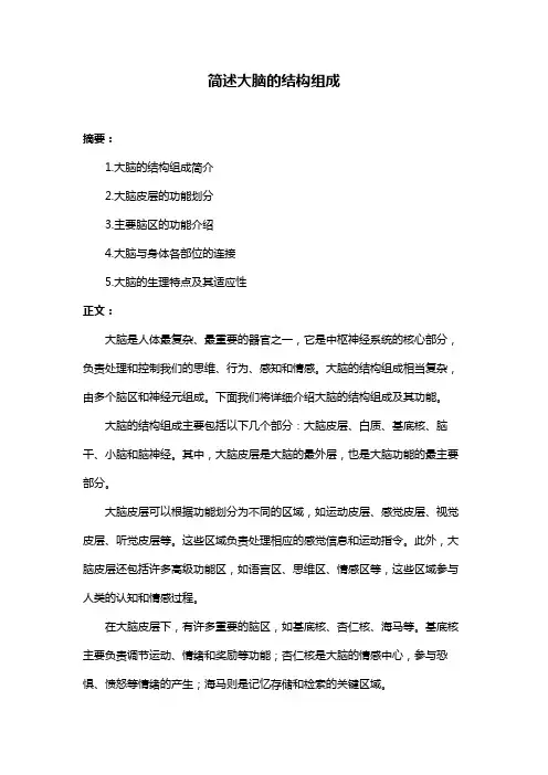 简述大脑的结构组成