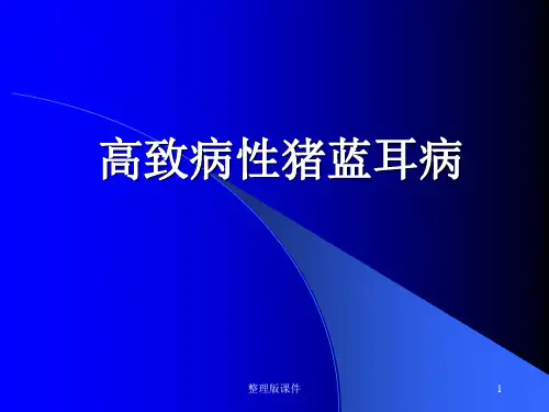 动物检疫学—高致病性猪蓝耳病ppt课件