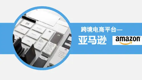 跨境电商平台ppt课件