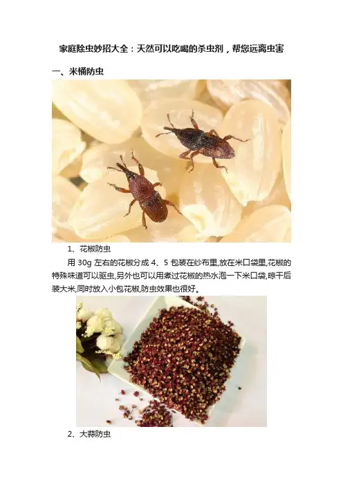 家庭除虫妙招大全：天然可以吃喝的杀虫剂，帮您远离虫害