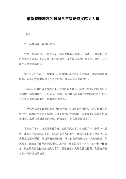 最新整理难忘的瞬间八年级记叙文范文3篇