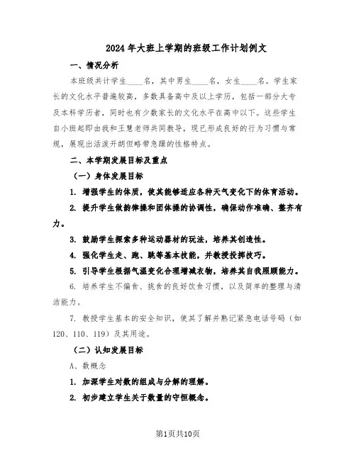 2024年大班上学期的班级工作计划例文（四篇）
