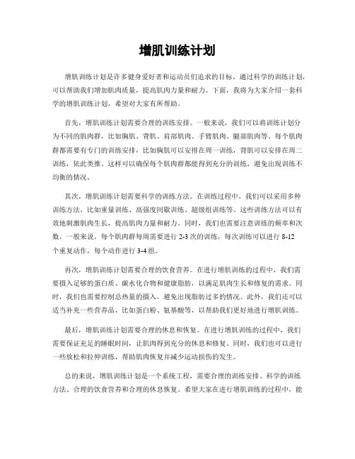 增肌训练计划