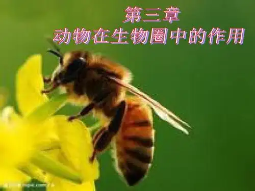 5.3《动物在生物圈中的作用》课件(共17张PPT)