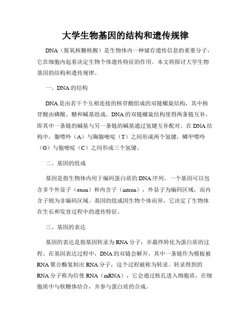 大学生物基因的结构和遗传规律