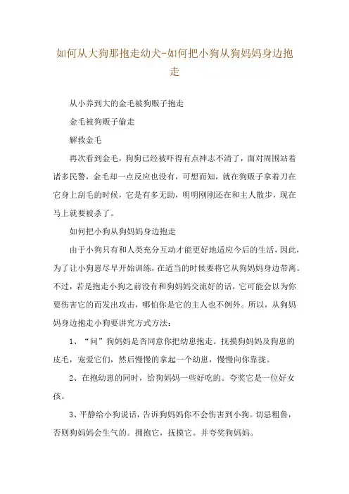 如何从大狗那抱走幼犬-如何把小狗从狗妈妈身边抱走
