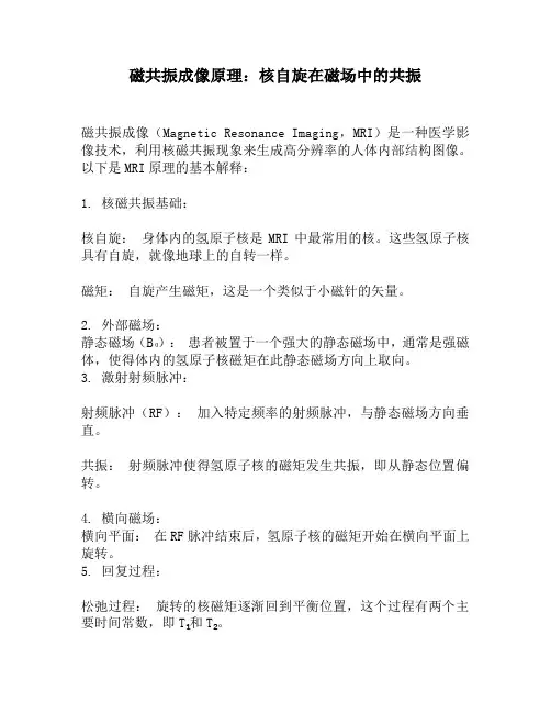 磁共振成像原理：核自旋在磁场中的共振